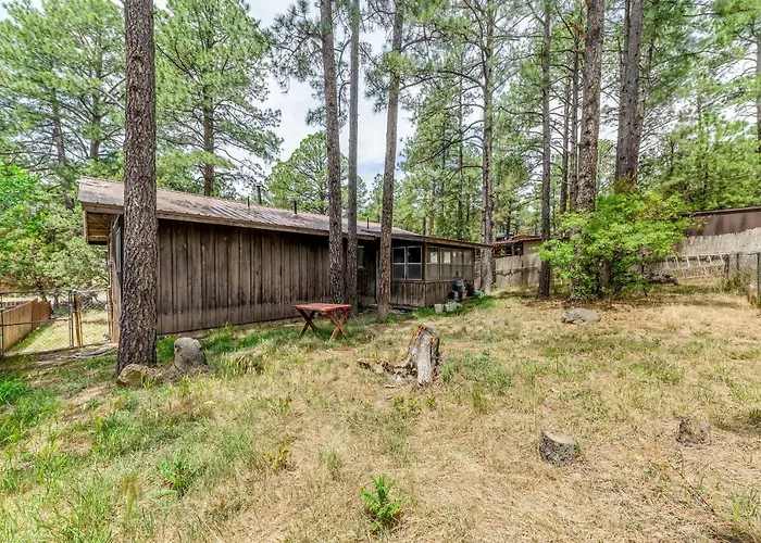 Serene Ruidoso Cabin With Fenced Yard Near Downtown!